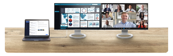Eizo FlexScan EV2495 Black